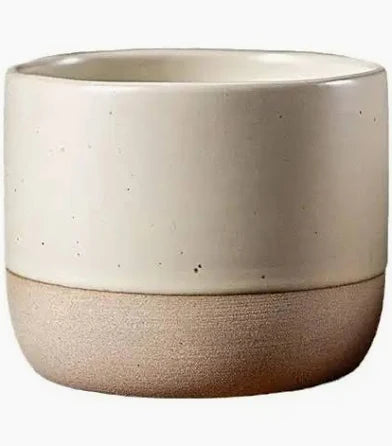 Vaso Prueba